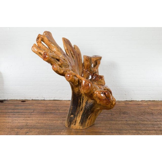 Vintage Rustic Chinese Camphor Wood Tree Root Armchair with Light Varnish For Sale In New York - Image 6 of 12