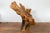 Vintage Rustic Chinese Camphor Wood Tree Root Armchair with Light Varnish For Sale In New York - Image 6 of 12