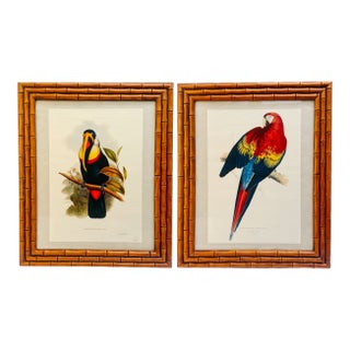 1960s French Ornithological Bird Lithographs Macaw & Toucan in Large Faux Bamboo Frames Reproduction Print - A Pair For Sale