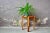 Beige Chalet Pine Stool, 1970s For Sale - Image 8 of 8