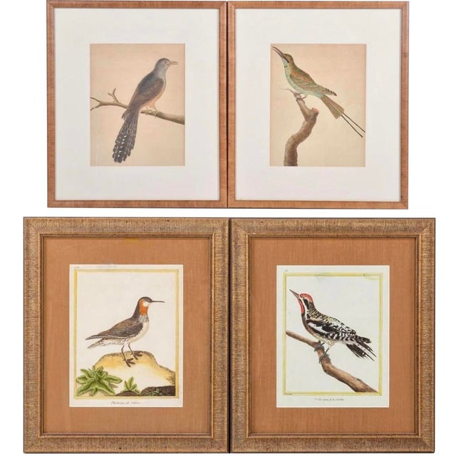 Hand colored in delicate detail, framed and matted original late 18th century engravings, two with labels visible:...