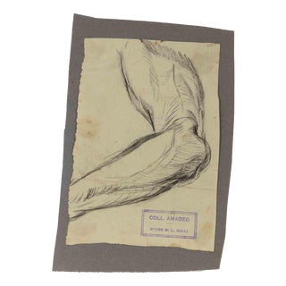 Luigi Galli, Anatomical Studies, 19th Century, Pencil on Paper For Sale
