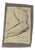 Luigi Galli, Anatomical Studies, 19th Century, Pencil on Paper For Sale