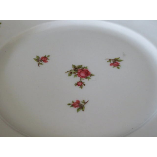 Vintage Bavarian Scattered Rose Pattern Gold Rimmed Salad Plates - Set of 4 For Sale - Image 4 of 6