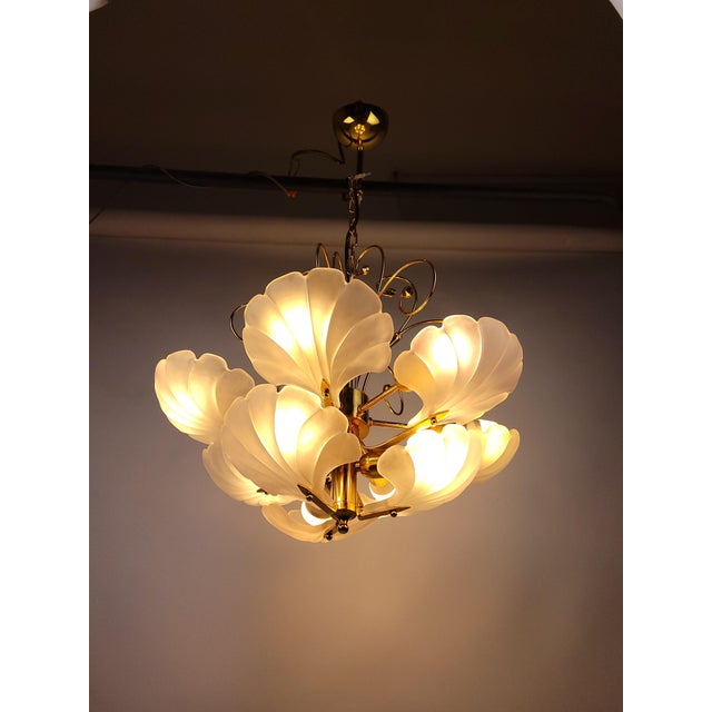 Glass Shell and Brass Chandelier attributed to Deknudt, 1970s For Sale - Image 15 of 18