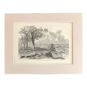 Antique 1874 Wood Engraving "Cleveland, From Scranton's Hill" Ohio in 11x14 Mat