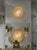 Early 21st Century Murano Gold and Clear Glass Sunburst Sconces For Sale - Image 5 of 5