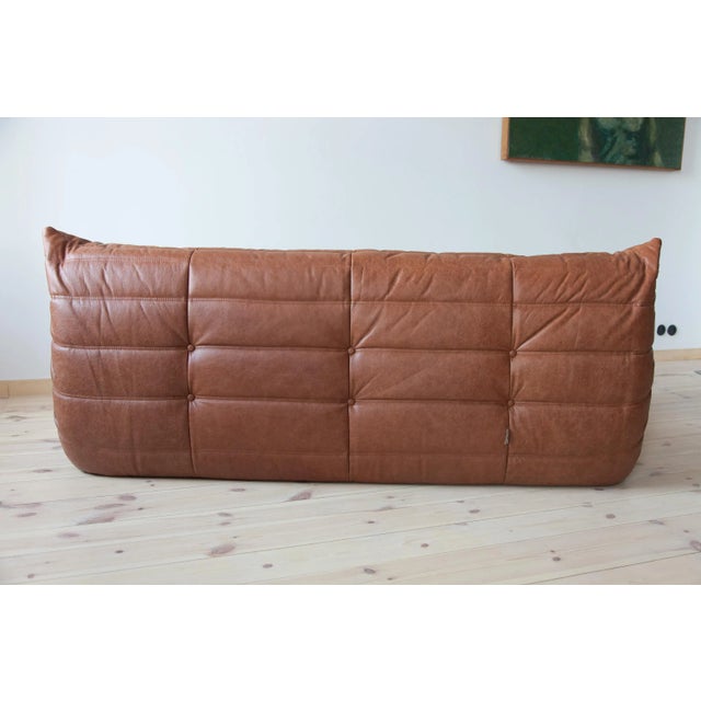 Vintage Brown Leather Sofas by Michel Ducaroy for Ligne Roset, 1970s, Set of 3 For Sale - Image 9 of 18