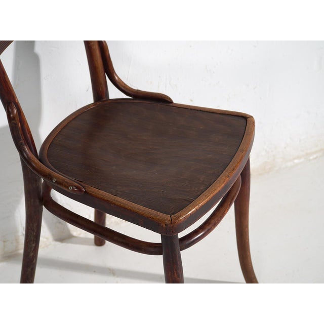 Antique Dining Chairs from Thonet, 1920, Set of 6 For Sale - Image 17 of 18