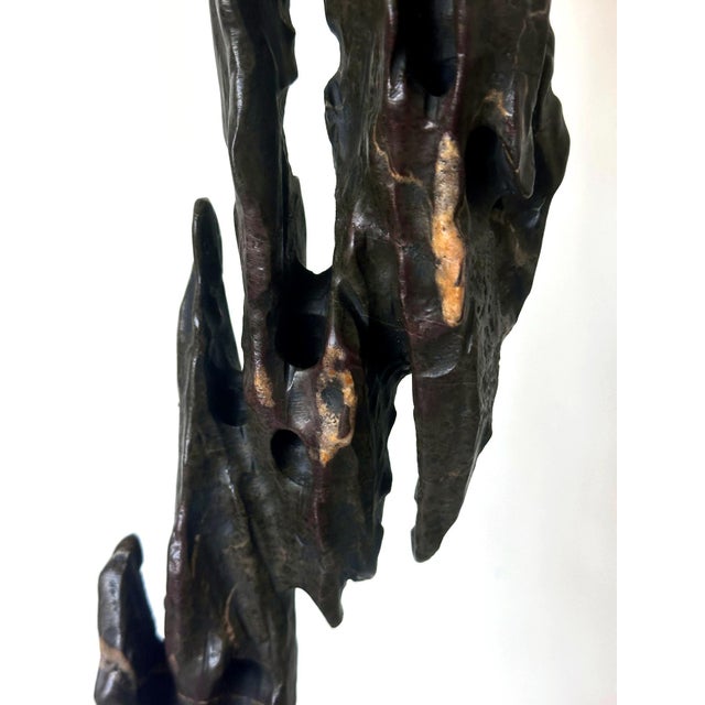 Chinese Scholar Stone Tall Slender Lingbi Rock on Display Stand For Sale - Image 10 of 17