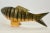 Vintage artisan crafted carved wood folk art reticulated fish with texture and detail in avocado, brown, khaki and...