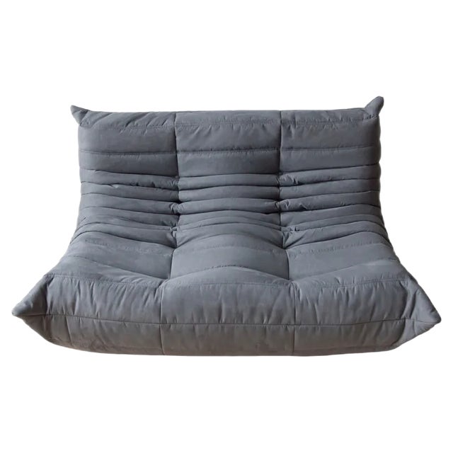 Grey Microfiber Togo 2-Seat Sofa by Michel Ducaroy for Ligne Roset For Sale