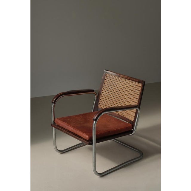 Modern Danish Funkis Chair S-102 in Steel, Cane & Leather attributed to Fritz Hansen, 1930s For Sale - Image 10 of 18