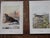 Printmaking Materials Antique 19th Century Wild Bird Chromolithographs - Set of 9 For Sale - Image 7 of 9