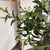 Plastic Faux Olive Tree + White Planter For Sale - Image 7 of 12