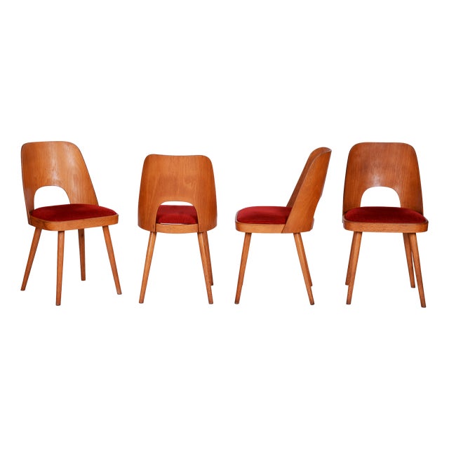 Mid-Century Beech Chairs by O. Haerdtl, Czech, 1950s, Set of 4 For Sale