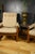 Virginia Lounge Armchairs by Guy Rogers, 1969, Set of 2 For Sale - Image 15 of 18