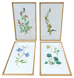 Flowers Watercolor by W. Kratz, 1950s, Set of 4