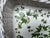 Vintage White Faux Wicker Green Ivy Vine Serving Tray For Sale In New York - Image 6 of 18