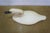 Late 20th Century Late 20th Century Rare Wildfowler Decoy Ny Hand Carved Wooden Tundra Swan Folk Art Figure 18" For Sale - Image 5 of 13