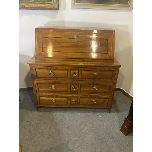 Classicist Secretary in Cherrywood, 1810s For Sale - Image 14 of 15