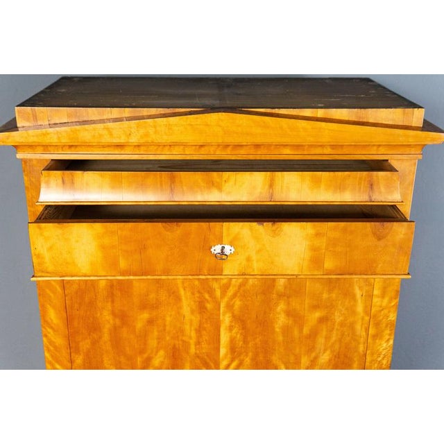 Biedermeier Birch & Elm Secretary For Sale - Image 13 of 18