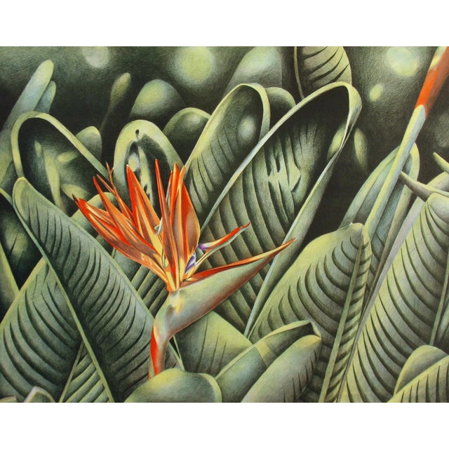Karl Nathan Black "Bird of Paradise" Signed Color Edition Lithograph Unframed For Sale