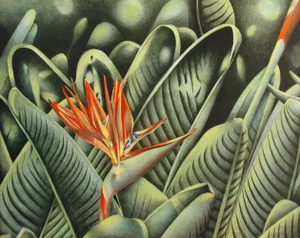 Karl Nathan Black "Bird of Paradise" Signed Color Edition Lithograph Unframed