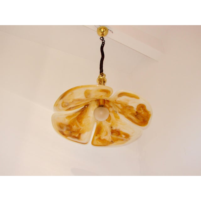 Tulip Cosack Pendant Lamp in Brass and Acrylic, 1970s For Sale - Image 6 of 9