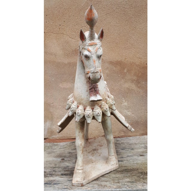 Ceramic Chinese Northern Wei Dynasty Artist, Sculpture of Horse, Terracotta For Sale - Image 7 of 9