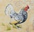 This French Country-style rooster accent pillow features a striking chicken illustration set against an elegant background...