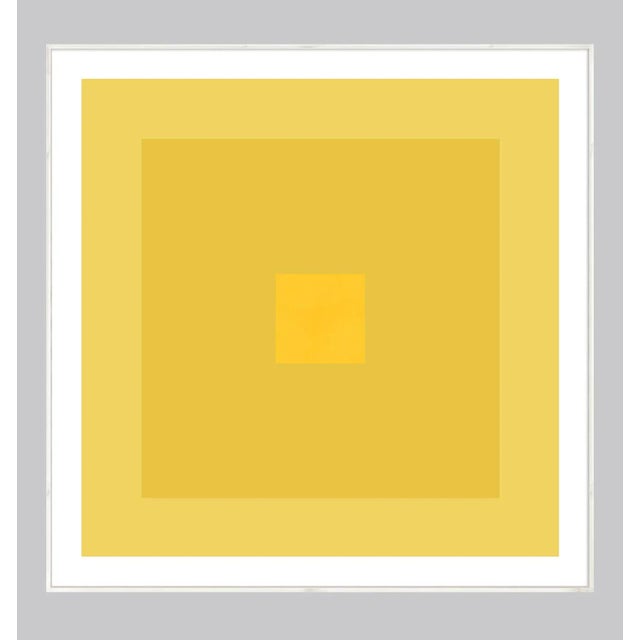 Abstract Minimal Geometric Color Study Print in Golden Yellow - 36" X 36" Unframed For Sale - Image 3 of 3