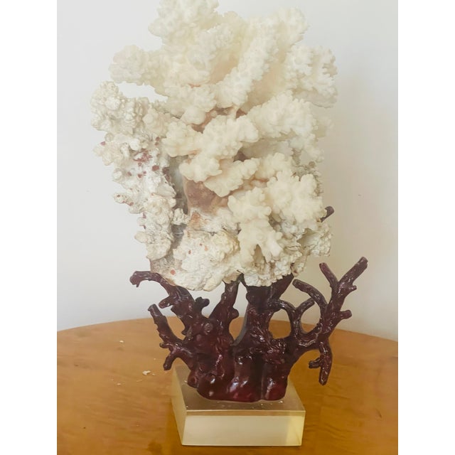 Coastal 1960s Marine Arrangement - White Coral Cluster on Faux Red Coral Stand For Sale - Image 3 of 8