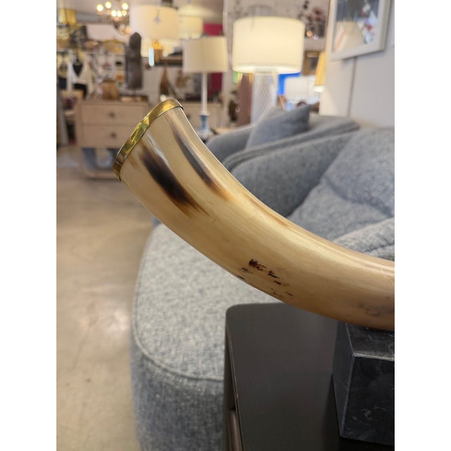 Gorgeous natural horn accessory with brass rim. Mounted on a green swirl marble base. The colors of the horn are wonderful...