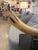 Gorgeous natural horn accessory with brass rim. Mounted on a green swirl marble base. The colors of the horn are wonderful...