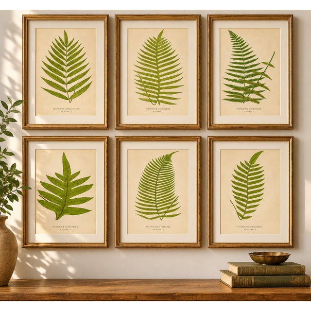 Rare Victorian Tropical Fern Lithograph Collection by E.J. Lowe, 1856 An elegant collection of six original hand-colored...