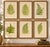 Rare Victorian Tropical Fern Lithograph Collection by E.J. Lowe, 1856 An elegant collection of six original hand-colored...