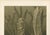 Late 19th Century Richard Lydekker, Glass Sponges Deep-Sea Marine Life, 1896, Color Process Print For Sale - Image 5 of 9