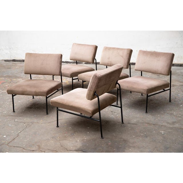 Mid-Century Modern Vintage French ST 683 Chairs by Eddie Harlis, 1956 For Sale - Image 3 of 8