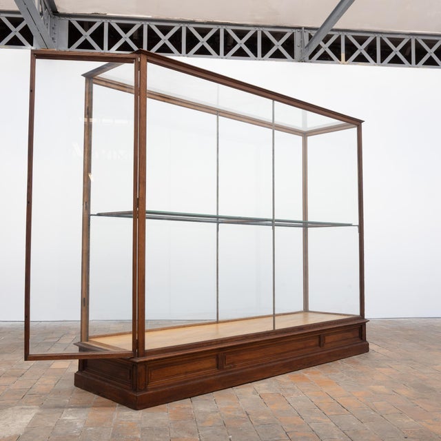 Antique Oak Museum Display Cases, 1910 For Sale - Image 6 of 18