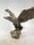 Statue Depicting an Eagle with Open Wings, 1890s-1910s, Bronze For Sale - Image 6 of 13