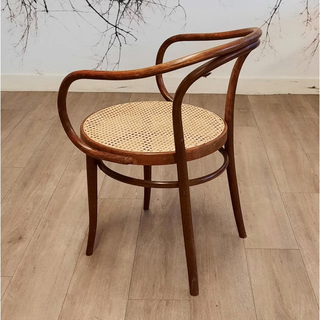 Wood No. 209 Armchairs in Bentwood and Rattan from Ligna, 1970s, Set of 4 For Sale - Image 7 of 13
