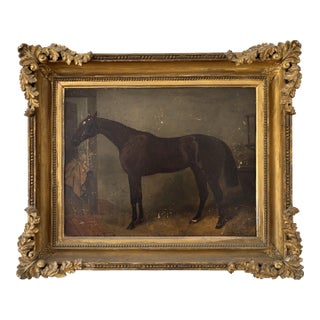 19th Century "Portrait of a Bay Hunter" Antique Horse Painting Oil on Board Attributed to John Arnold Alfred Wheeler For Sale