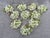 White Green Floral Napkin Ring - Set of 10 For Sale - Image 14 of 16