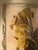 1940s Benjamin Jorj Harris Yellow Lillys Airbrushed Painting For Sale - Image 11 of 17