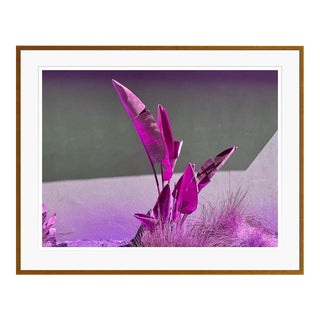 Banana Purples by Stuart Möller Framed For Sale