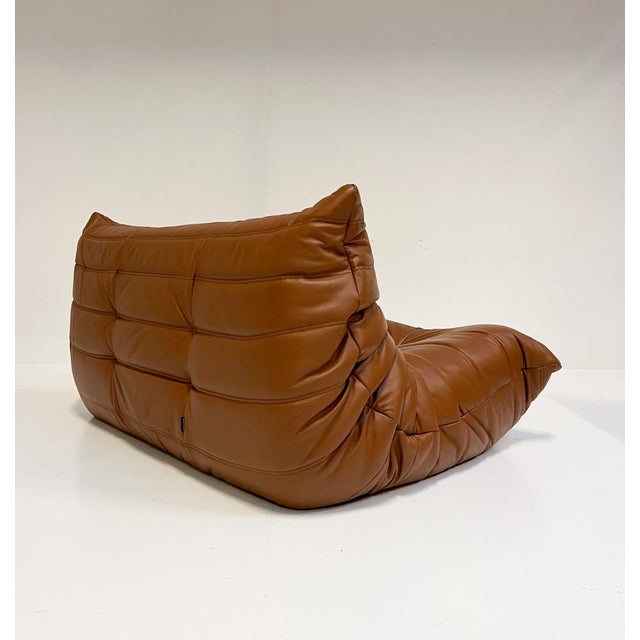 Togo Two-Seater Sofa by Micel Ducaroy for Ligne Roset, 2010s For Sale - Image 6 of 13