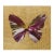 Plastic Damien Hirst, Butterfly Spin Painting, 2009, Acrylic & Gold Leaf For Sale - Image 7 of 7