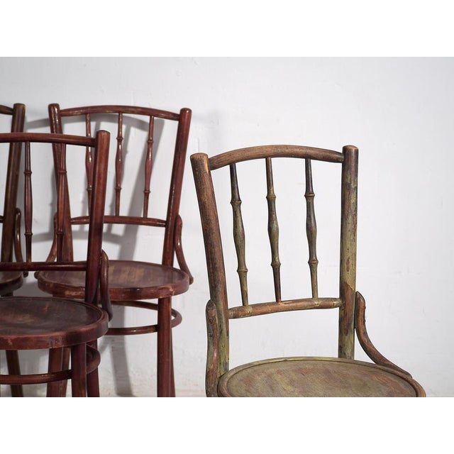 Antique colored Thonet chairs. Set of 4 pieces ( c.1920). Dimensions: Part #1: Width: 41 cm Depth: 45 cm Height: 91 cm...