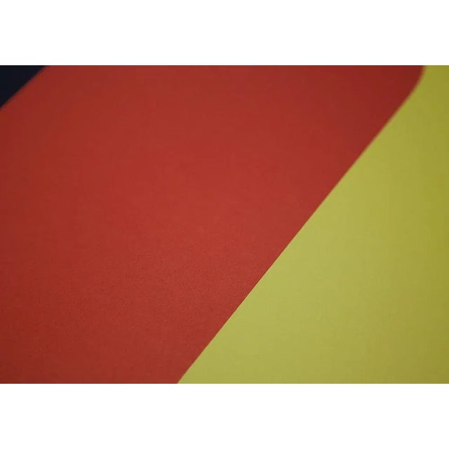 Modern 1960’s Ellsworth Kelly Framed Print For Sale - Image 3 of 4